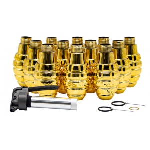 TB Gold Pineapple 12pcs complete Set